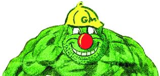 Green Monster Container — photo 2